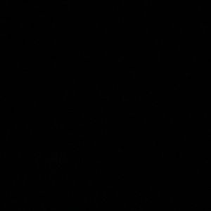 Meet your Posher, Sean